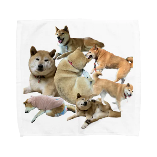 まんまる柴犬 Towel Handkerchief