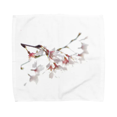 春の訪れを告げる美しい桜の花びら Towel Handkerchief