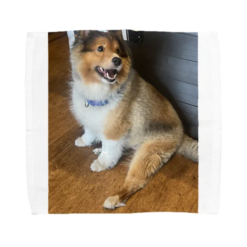 愛らしいモフモフ犬グッズ Towel Handkerchief