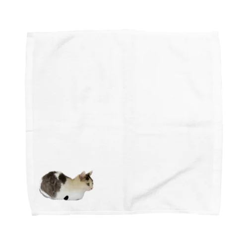 まる丸 Towel Handkerchief