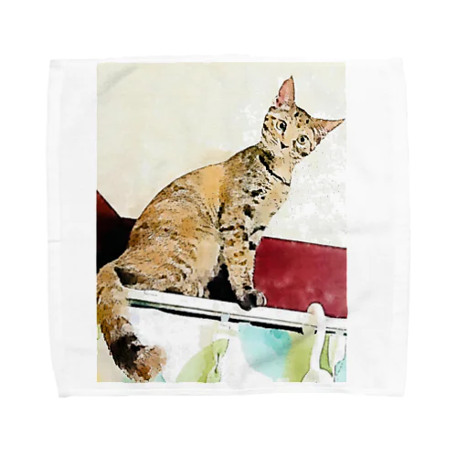 カーテンレールからニャンコ🐱 Towel Handkerchief