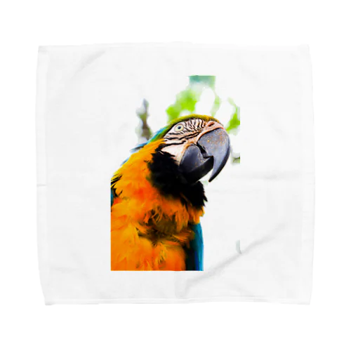 Parrot Towel Handkerchief