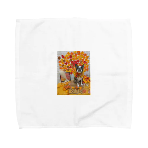 秋　ボストンテリアジョー君　ウィンク Towel Handkerchief