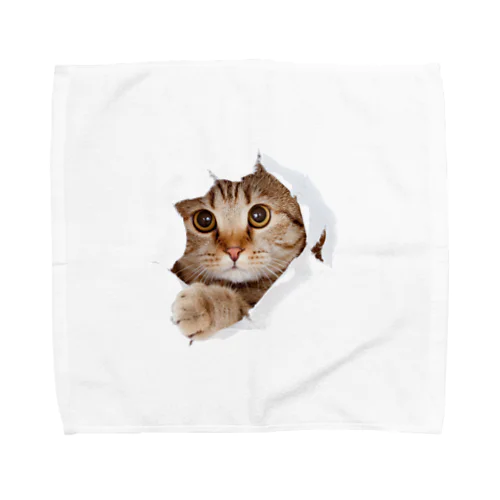 White Free Cute Funny Cat T-shirt Towel Handkerchief