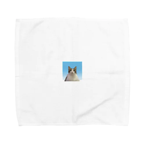 キューチ Towel Handkerchief
