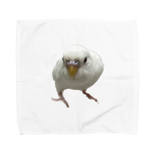 アルビノセキセイインコハクちゃん Towel Handkerchief