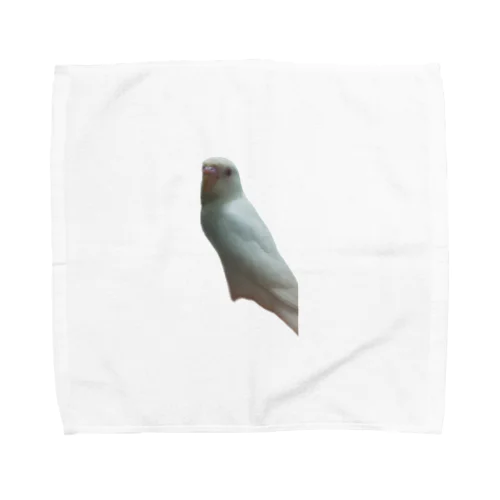 セキセイインコハクちゃん Towel Handkerchief