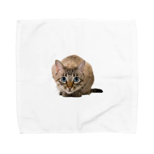 ねこちゃん Towel Handkerchief