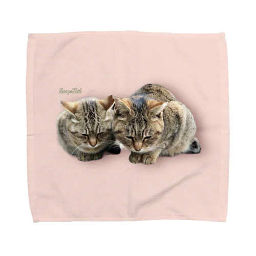 交流猫 薄キジ猫ズ（Type01） Towel Handkerchief
