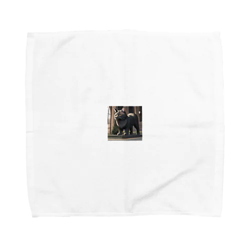 sit cat Towel Handkerchief