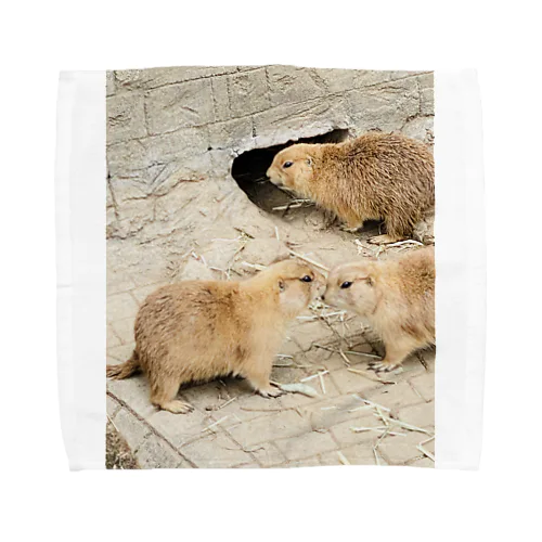 adorable animal Towel Handkerchief