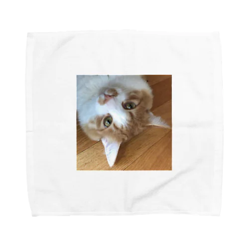 猫の にこくん Towel Handkerchief