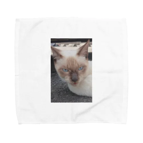 悪そうなのにカワイイ猫ちゃん Towel Handkerchief