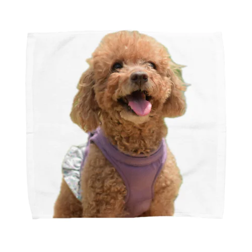  愛犬PASS Towel Handkerchief