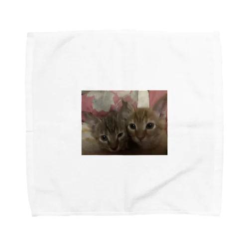ふんわり猫 Towel Handkerchief