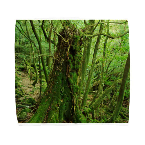 屋久島の苔むす世界 Towel Handkerchief