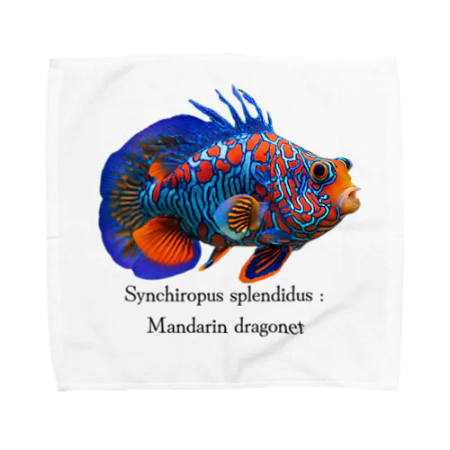 ニシキテグリ（マンダリンフィッシュ）魚バージョン Towel Handkerchief
