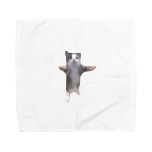 【猫ミーム】Happy Happy Cat Towel Handkerchief