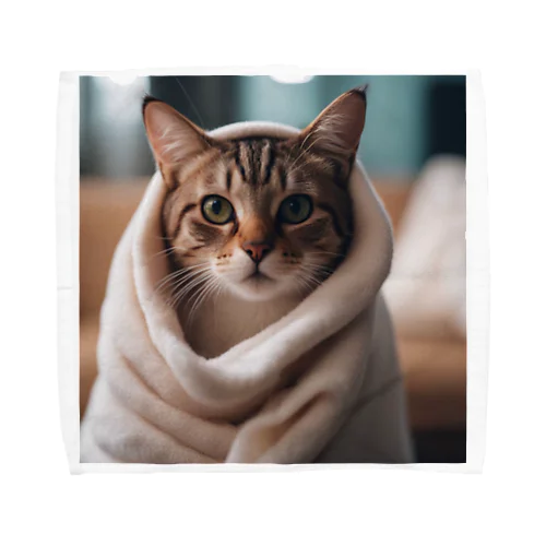 毛布猫 Towel Handkerchief