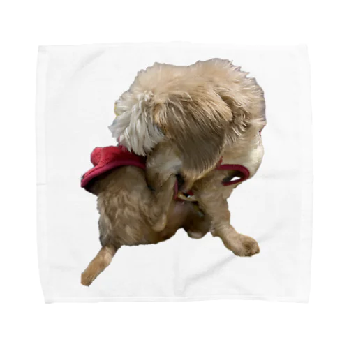 犬　ガジガジ Towel Handkerchief