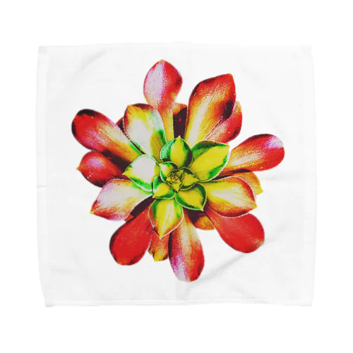 Succulents series アエオニウム Towel Handkerchief