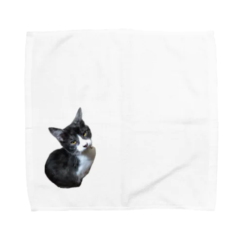 Nyancole たま Towel Handkerchief