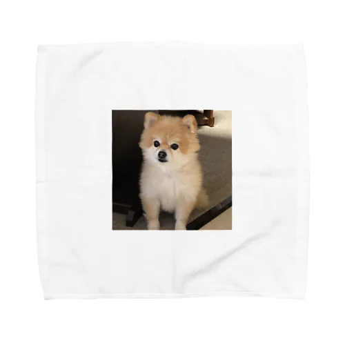 愛犬プリン Towel Handkerchief