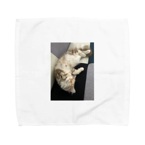 福猫ベルちゃんの開運グッズ Towel Handkerchief