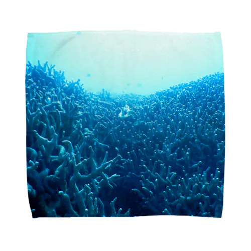 青い珊瑚礁 タオルハンカチ