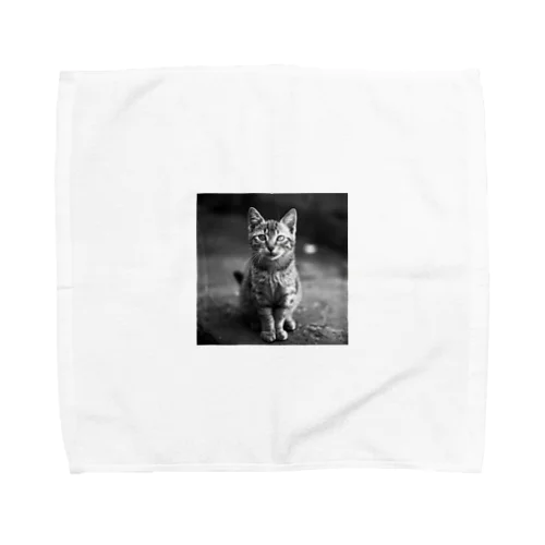 見つめるノラ猫 -TAMA- Towel Handkerchief