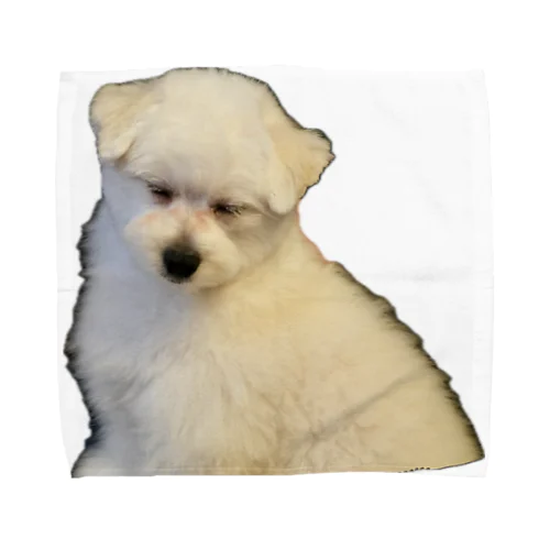 SLEEP DOG Towel Handkerchief