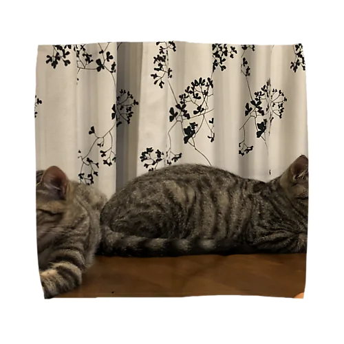 双子猫 Towel Handkerchief