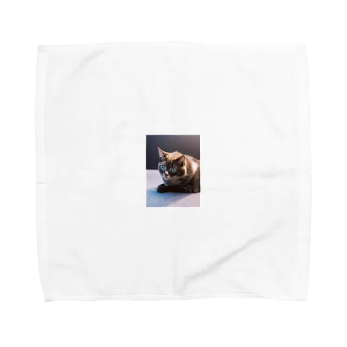 青い瞳の猫ちゃん Towel Handkerchief
