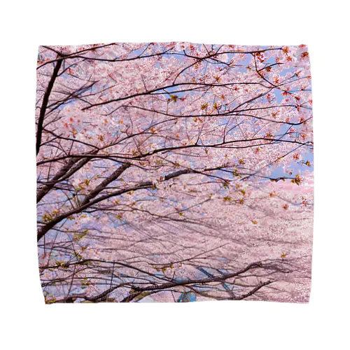 美しき桜 Towel Handkerchief