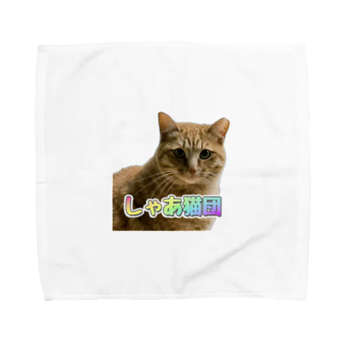 ねぇね（しゃあ猫団２） Towel Handkerchief