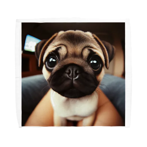 pug Towel Handkerchief