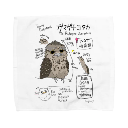 図鑑イラストシリーズ第5段『ガマグチヨタカ』 Towel Handkerchief