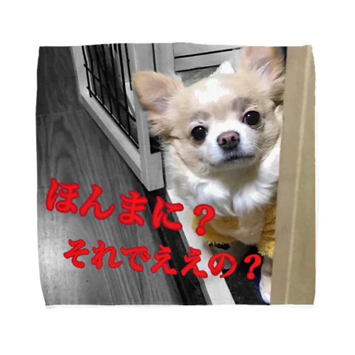 うちの愛犬(弟) タオルハンカチ