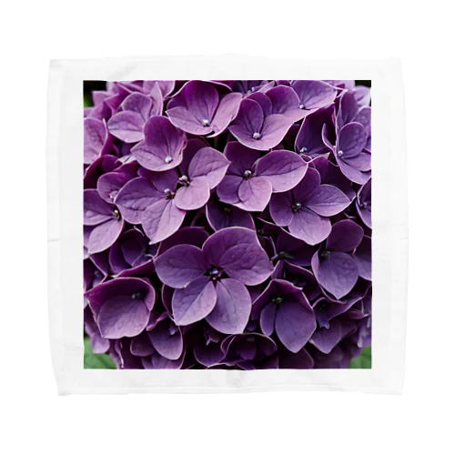 魅惑の紫陽花 タオルハンカチ