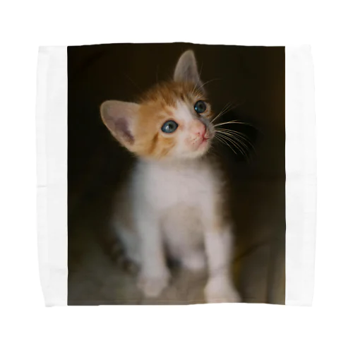 考える　猫ちゃんー Towel Handkerchief