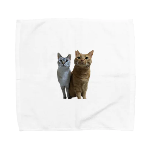 茶トラとシャムトラ　兄妹猫 Towel Handkerchief