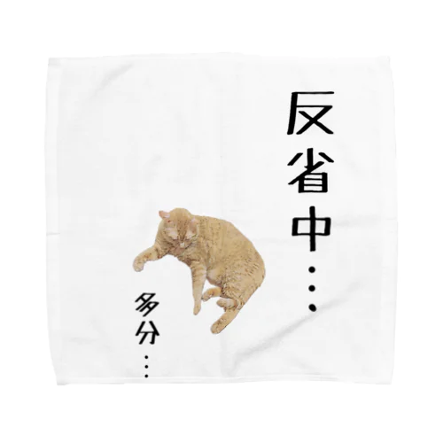 反省してない猫 タオルハンカチ