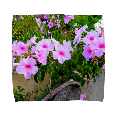 実写シリーズ【初夏の美しい花🌸】 Towel Handkerchief