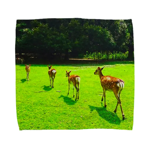 奈良公園の鹿が変える姿 Towel Handkerchief