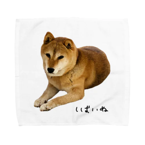 伏せ？してる柴犬さん Towel Handkerchief