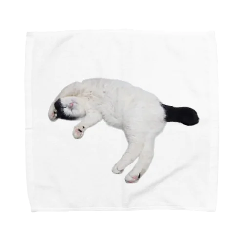 尻尾が短い保護猫 たぬちゃん Towel Handkerchief