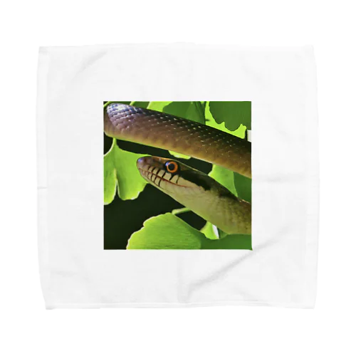 ヘビ Towel Handkerchief