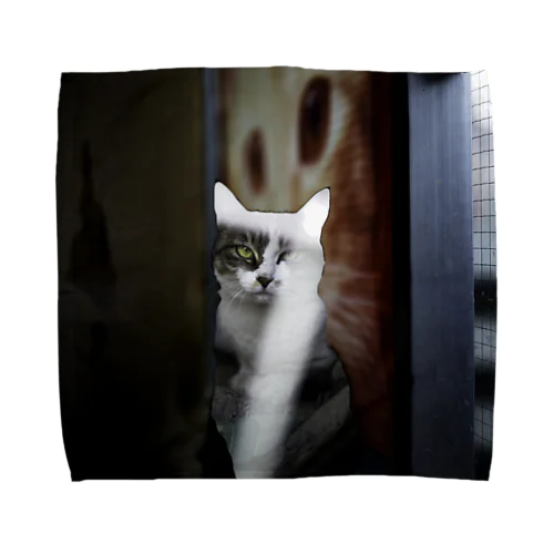 正面からみたねこ Towel Handkerchief