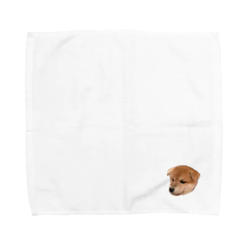 柴犬むく(仔犬2) Towel Handkerchief