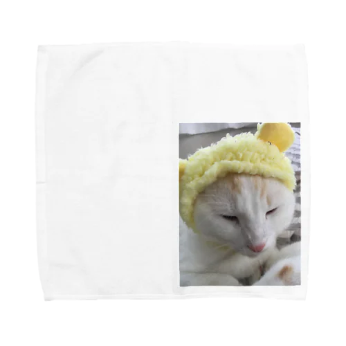 ぶちゃかわ猫 Towel Handkerchief